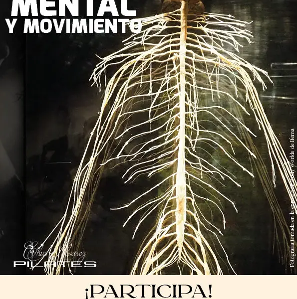 Taller SALUD MENTAL Y MOVIMENTO e1669320173605