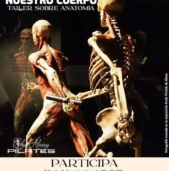 Taller anatomia e1668442503910